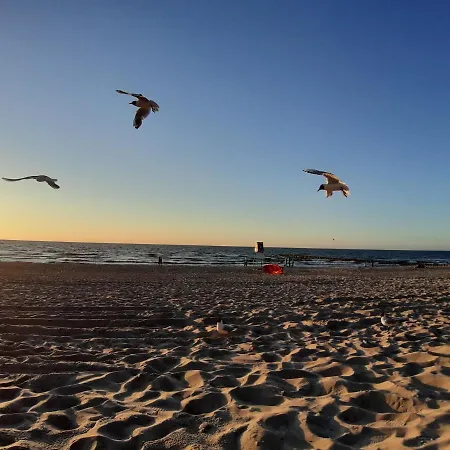 Yellow House Tatil Evi Dziwnów