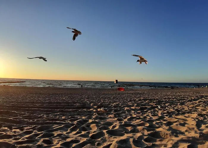 Yellow House Casa de Férias Dziwnów